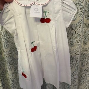 NWT proper peony cherry dress